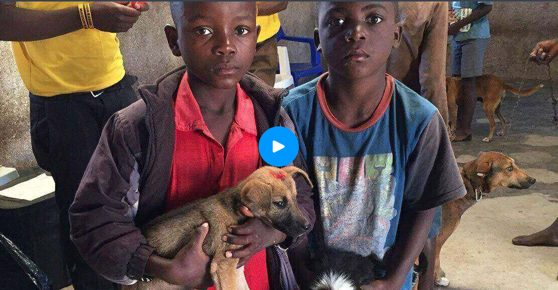 مبادرة The Big Fix Uganda. انقر هنا لاكتشاف العديد من المعلومات الشيقة حول مبادرة MSD!