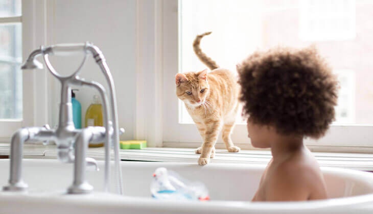 قطة وصبي في الحمام