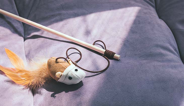 ألعاب القطط