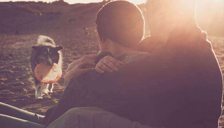 شاطئ لعب الكلاب