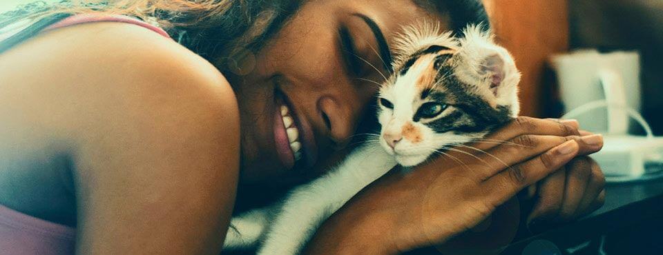 المرأة القطة الكاذبة