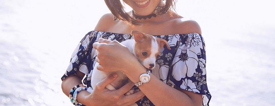 بعض الأشياء التي تحتاج إلى معرفتها عن رأس الجراء