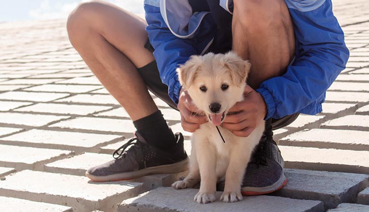 رجل يحمل كلبًا صغيرًا