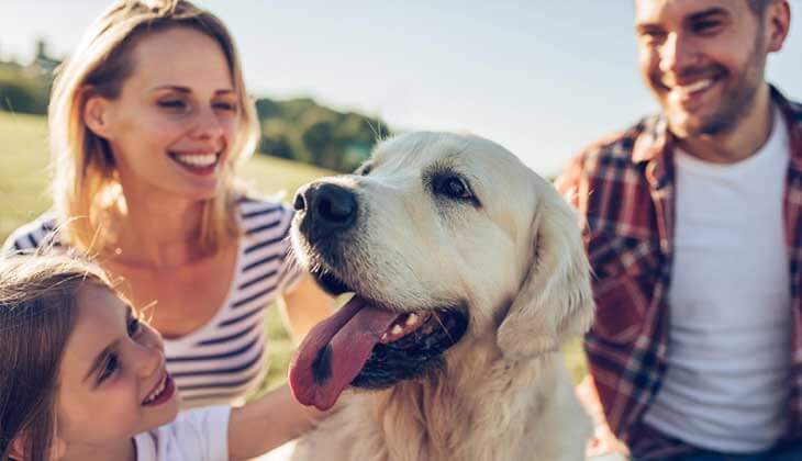 العائلة والكلب