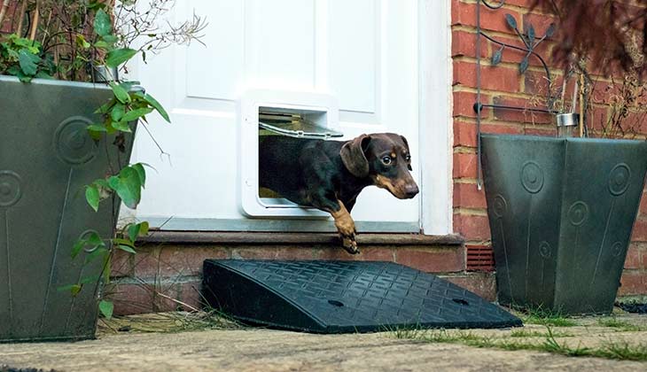 منتجات العناية بصحة الحيوانات الأليفة