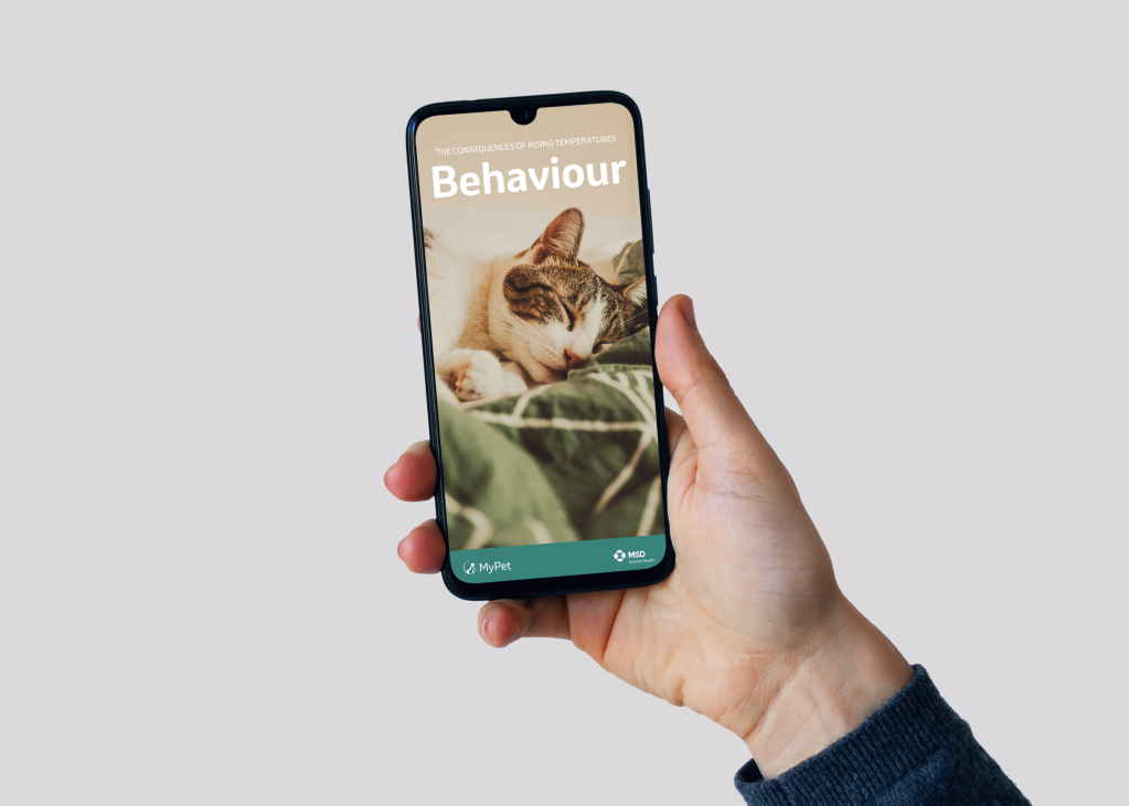 دليل السلوك