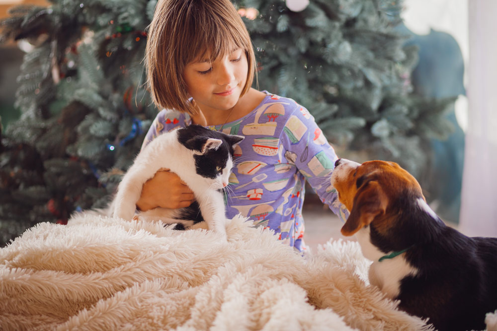 انضم إلى MyPet